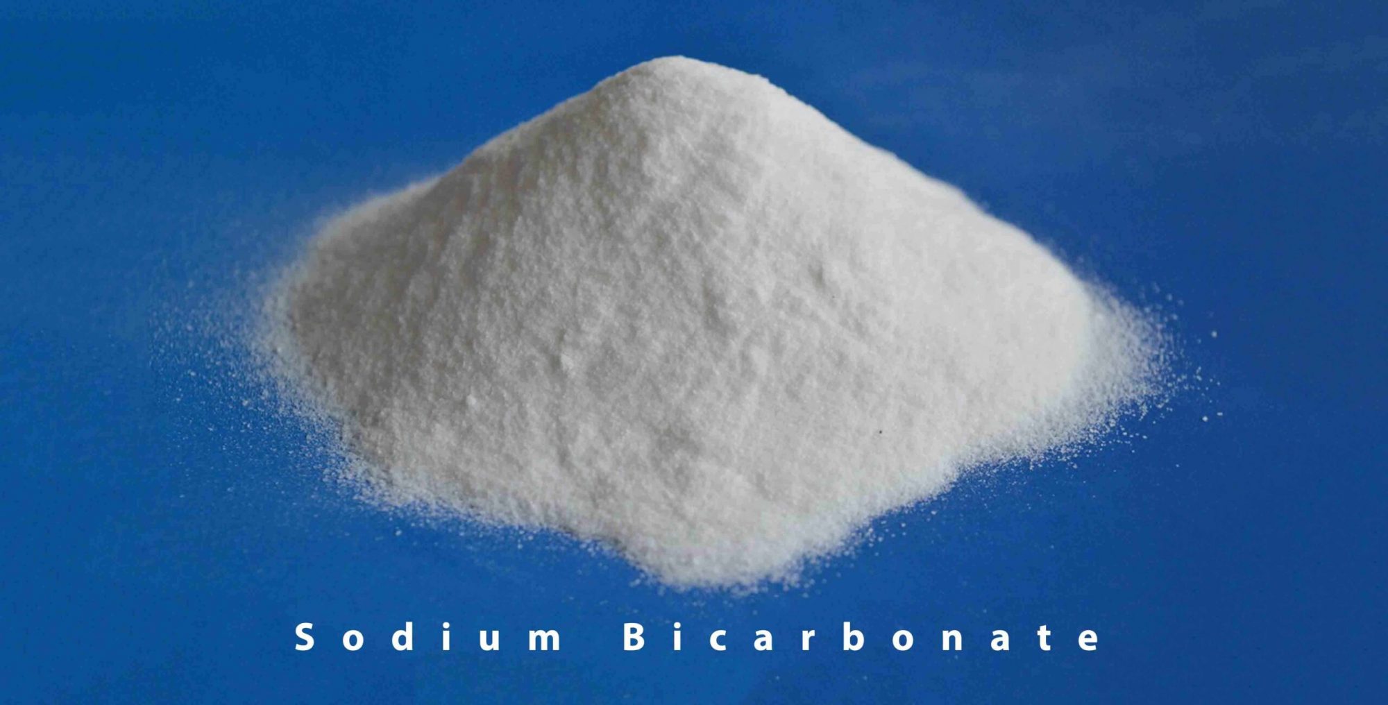 Sodium Bicarbonate INESH GLOBAL PRIVATE LIMITED